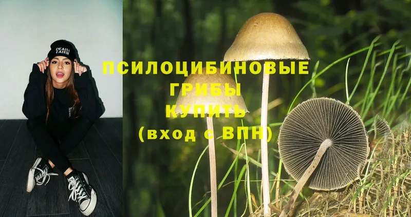 Псилоцибиновые грибы MAGIC MUSHROOMS Кирс