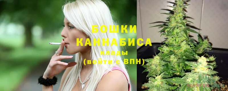 shop наркотические препараты  Кирс  Марихуана планчик 